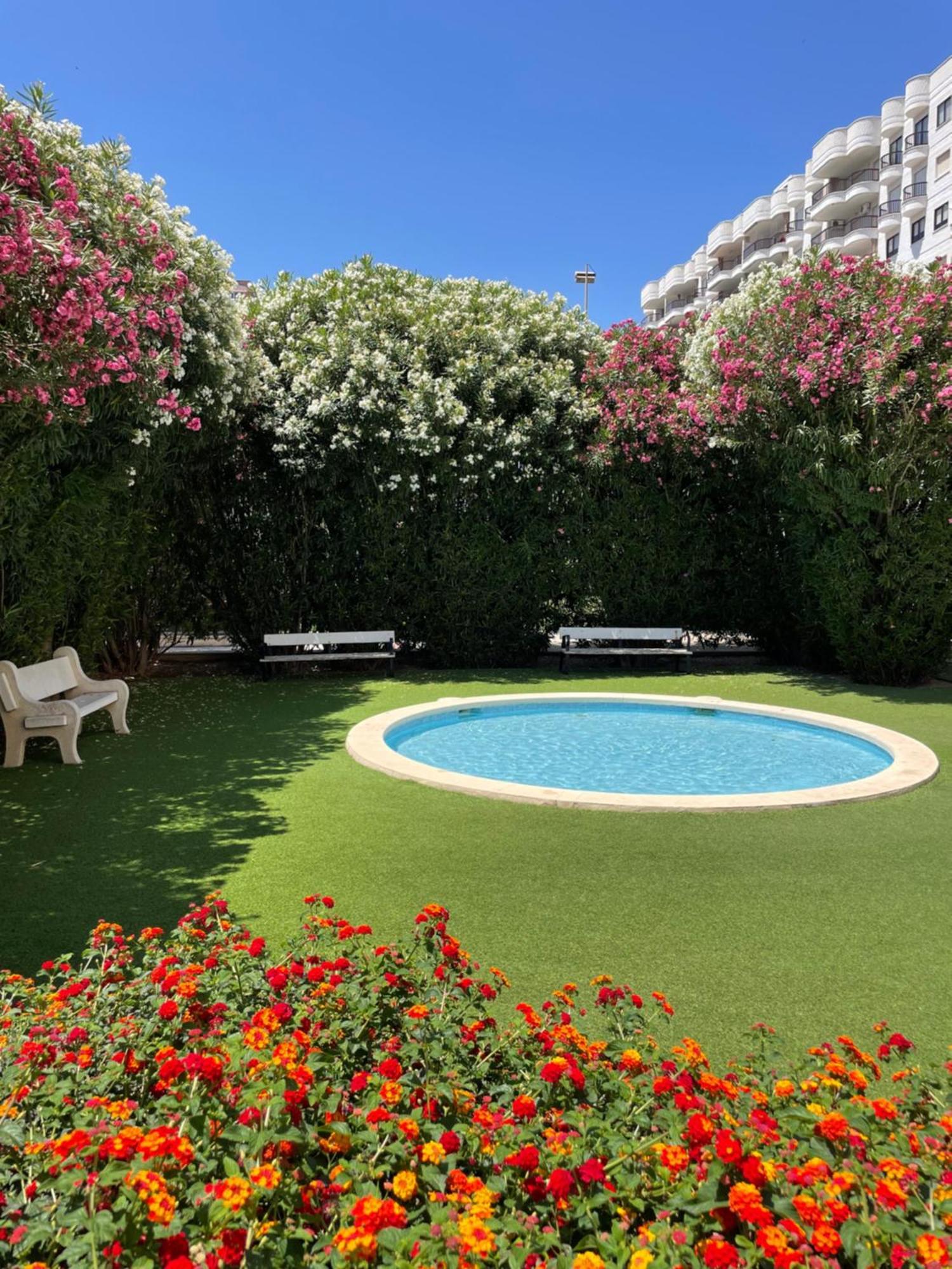 Gandia Boutique Stays - Presidente - Apartamento Premium En Primera Linea De Playa エクステリア 写真